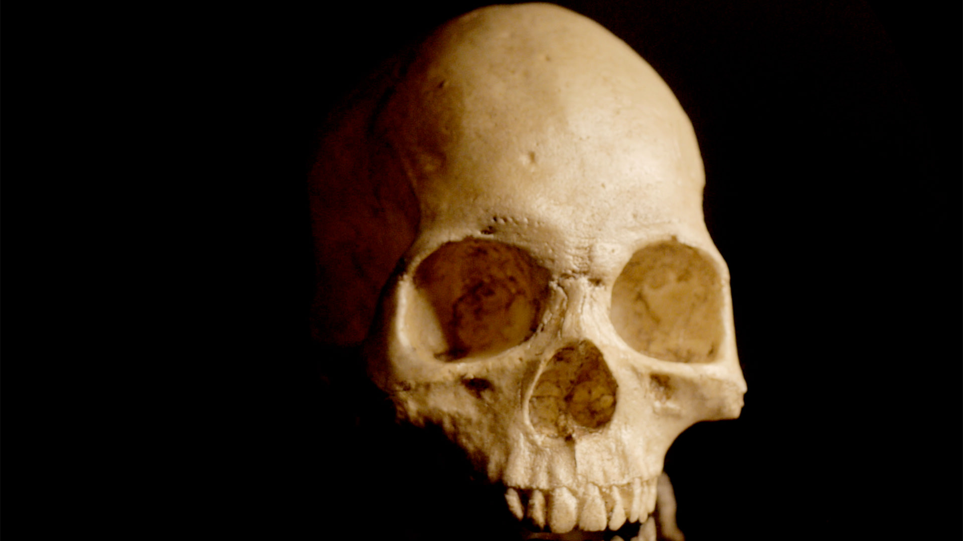 Lesson Plan: Debating How Evolution Is Taught in Public Schools