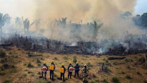 Amazon Rainforest Defenders Confront Violence, Encroachment and Politics