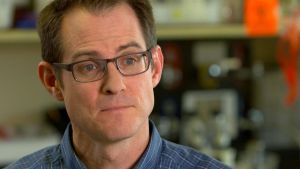 Is the Key to Obesity All in Your Gut?