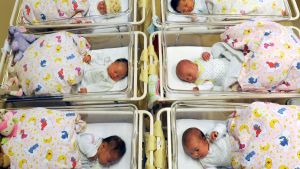 Population Bomb: The Overpopulation Theory That Fell Flat