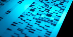 Selling the Code: Can Genetic Testing Services Really Predict Your Future?