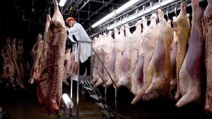 E. Coli Outbreaks Changed Food Production, But How Safe Are We?