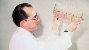 Could You Patent the Sun?